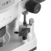 Фрезер CROWN CT11001, CROWN
