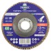 Круг лепестковый торцевой шлифовальный PROBOS Forming CF967 CERAMIC, 125 мм х 22 мм, P40