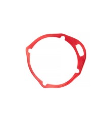 Прокладка задней крышки ( End seal ) RT-5275 поз.21