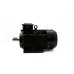 Электродвигатель 380V 50HZ 5.5кВт (Y2-100L-2) LB75, LB75В