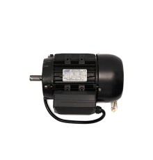 Электромотор односкоростной V124 MOTOR (220V, 50Hz, 1P, 1.2Kw)