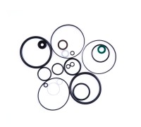 Ремкомплект пневмонасоса (Full sealing of pump) S50-3J