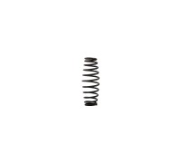 Пружина клапана Throttle Valve Spring п.42 для RT-5277