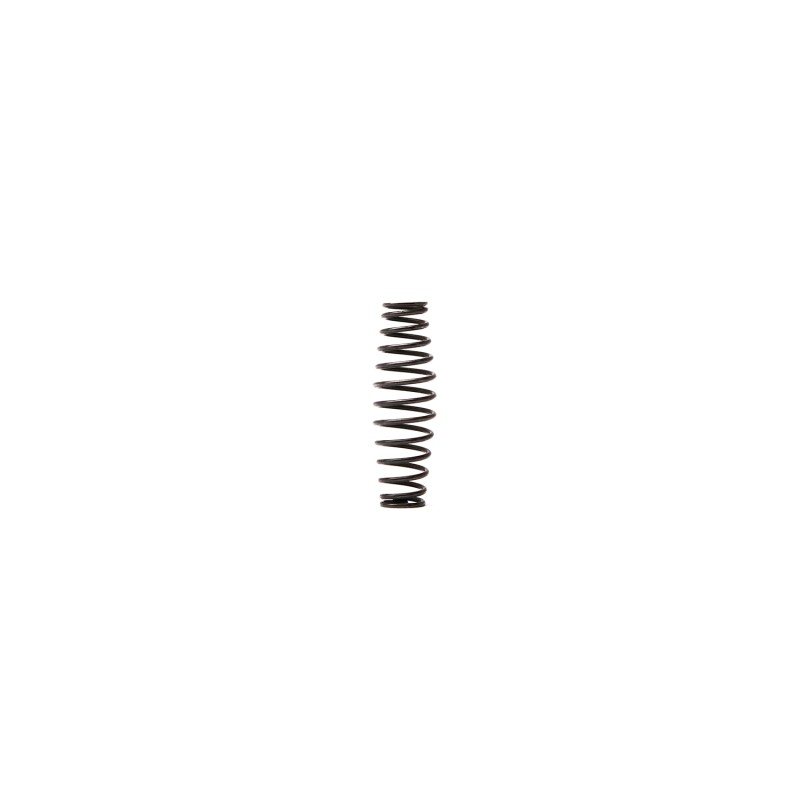 Пружина RT-5567(Inlet Spring) поз.30 Пружина RT-5567(Inlet Spring) поз.30