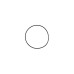 Кольцо резиновое O-Ring (48*1) RT-5277 поз.23