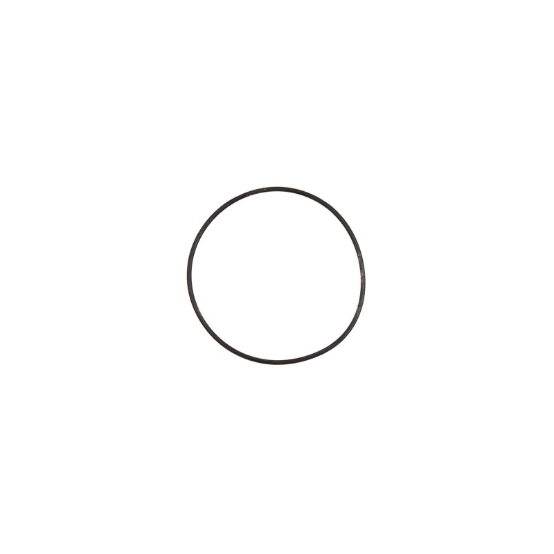 Кольцо резиновое O-Ring (48*1) RT-5277 поз.23