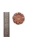NS05-2214-RF Диск шероховальный, Ø50x9,5мм, AH 3/8''-24 thread, 14 Grit