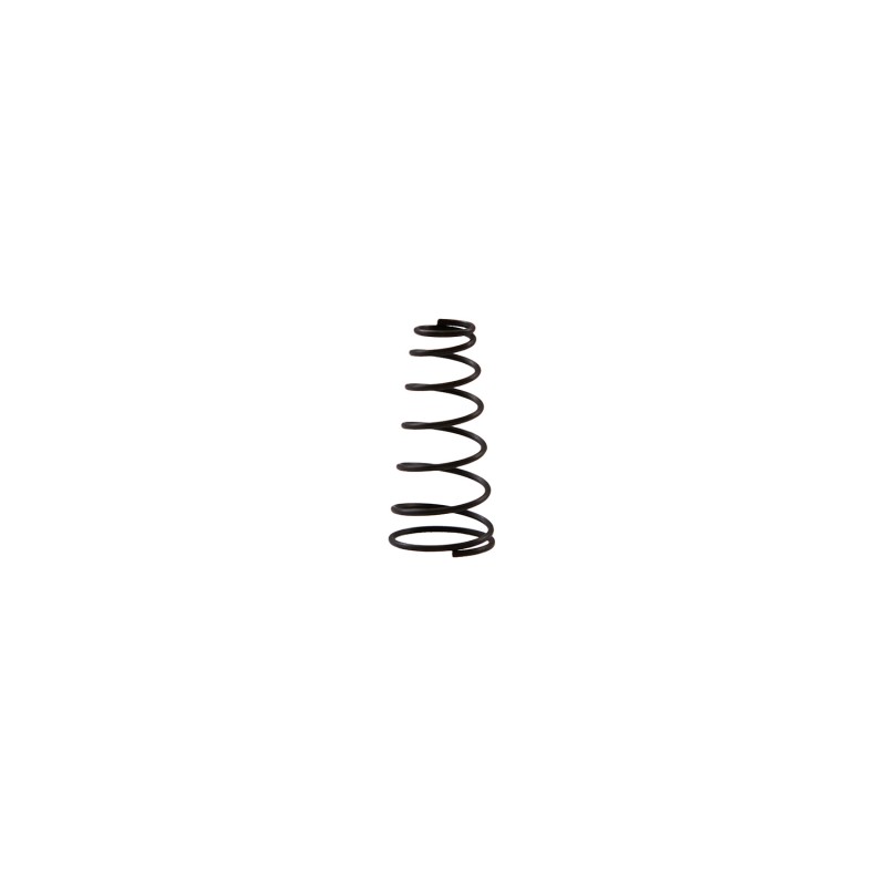 Пружина клапана ( Air inlet spring ) RT-5565 поз.34 Пружина клапана ( Air inlet spring ) RT-5565 поз.34