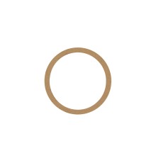 Прокладка передней крышки RT-5265 (Gasket) поз.41
