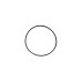 Кольцо переключателя уплотнительное ( O-ring ) RT-5275 поз.22