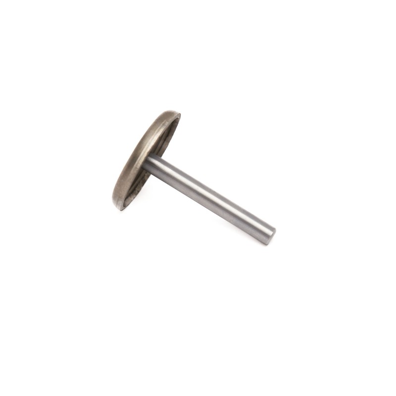 Плунжер пневмонасоса (Plunger Rod) S30-2EL, S40-2EL Плунжер пневмонасоса (Plunger Rod) S30-2EL, S40-2EL