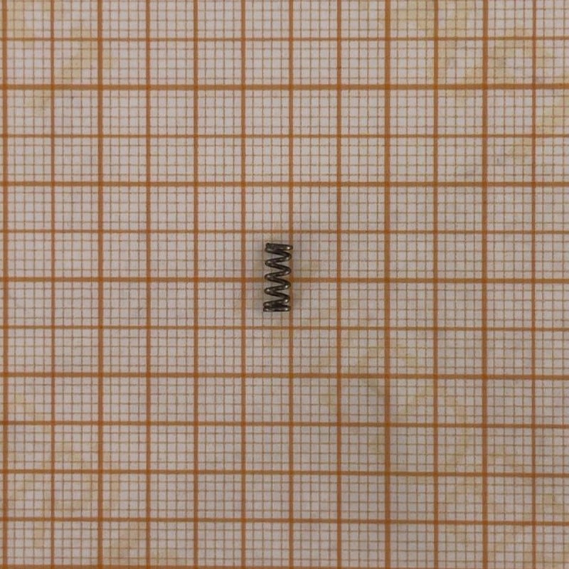 WDK-20840-09 Пружина