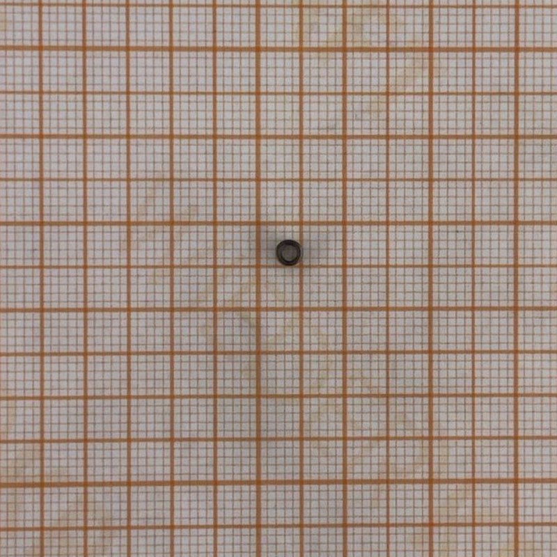 WDK-20840-09 Пружина