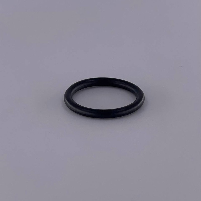 WDK-20840-38 Кольцо