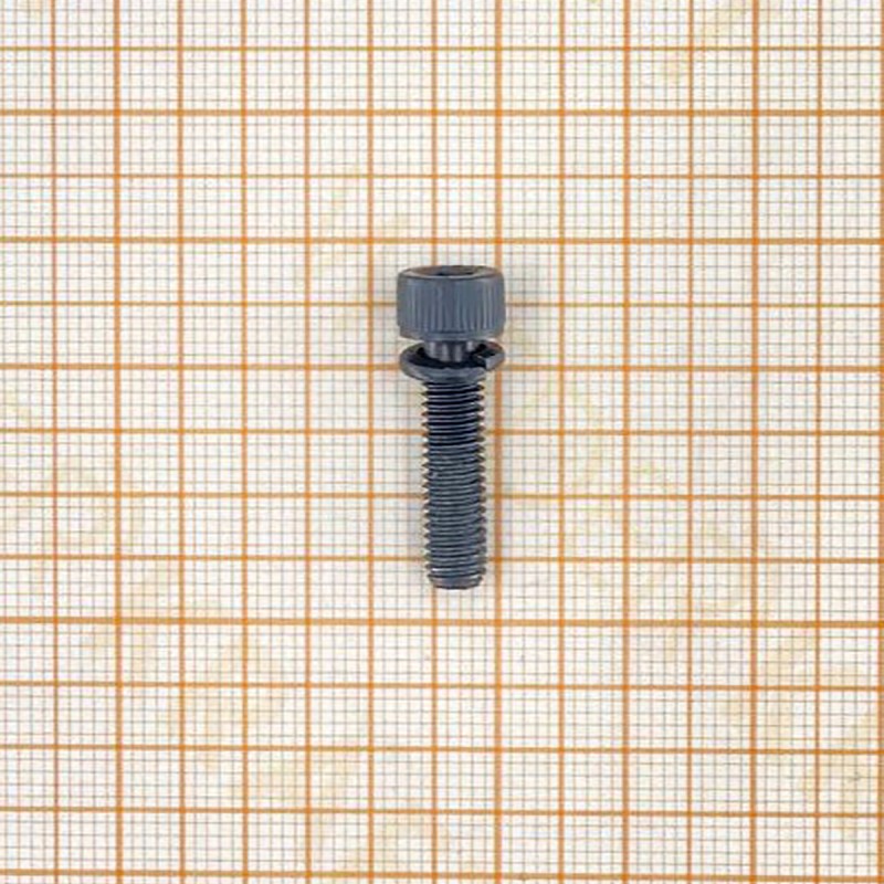 WDK-20420S-19/ Винт и шайба задней крышки