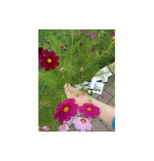 Секатор универсальный 200мм YATO YT-8790