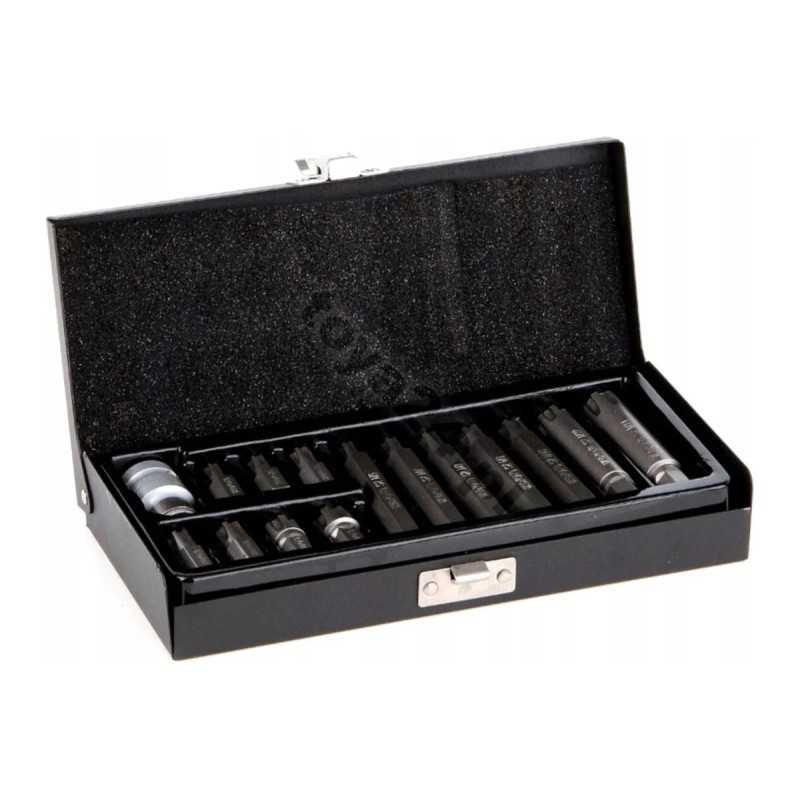 Набор специальных бит RIBE М5-М14 с переходником 15 предм. YATO YT-0419