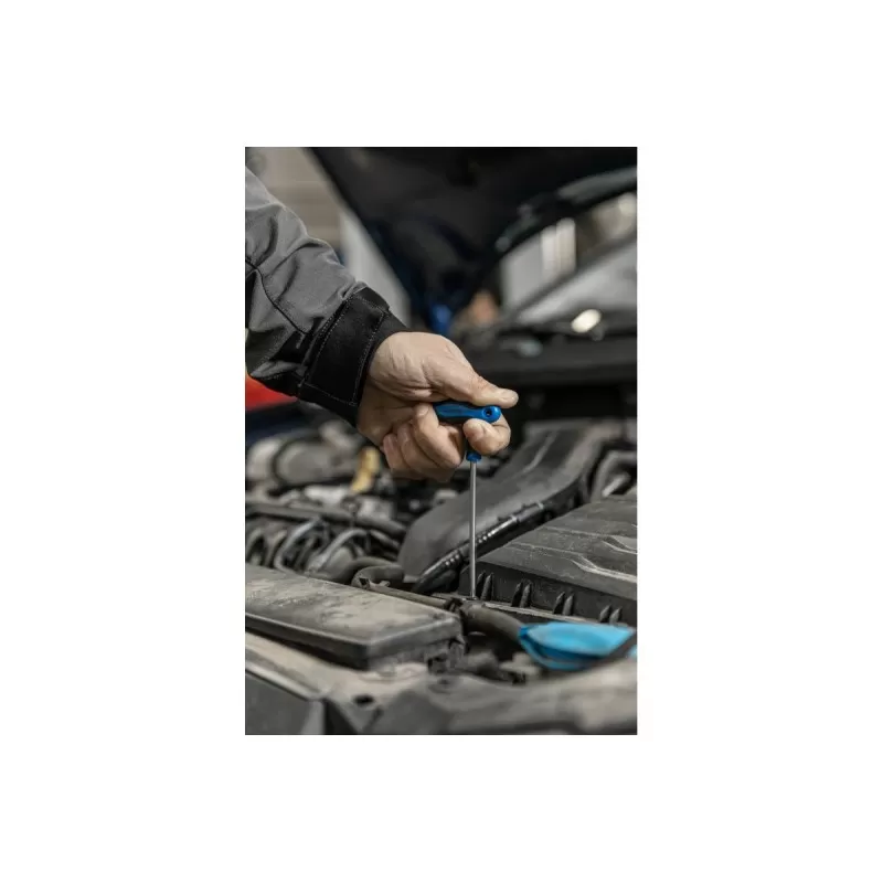 Ключ torx security типа "Т", длинный TT25, HT1W872, HOEGERT