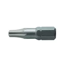 Биты TORX 10, 25 мм, сталь S2, 2 шт., HT1S361, HOEGERT 