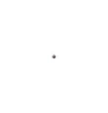 Шарик стальной ( Steel ball ) RT-5565 поз.50